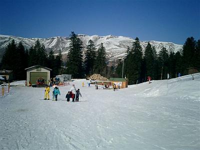 Pezz13Mar05 034